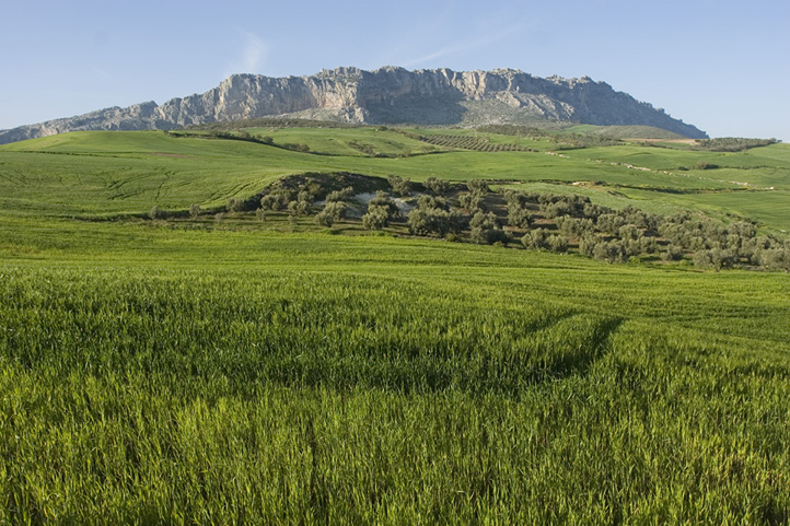 Inland from Malaga, Antequera